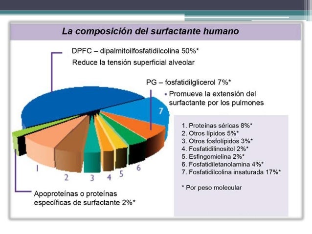 composicion del surfactante pulmonar